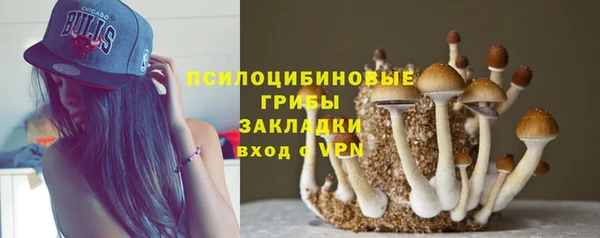 тгк Алзамай