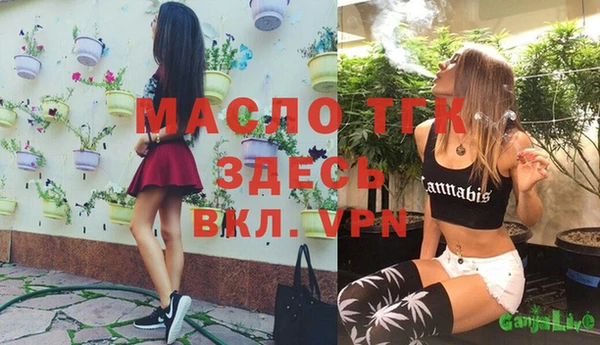 тгк Алзамай