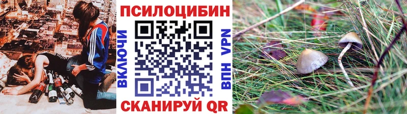 Галлюциногенные грибы GOLDEN TEACHER  Дмитров 